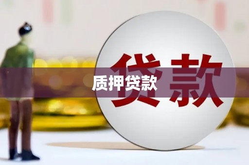 沙坪坝质押贷款