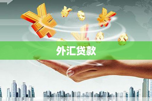 沙坪坝外汇贷款