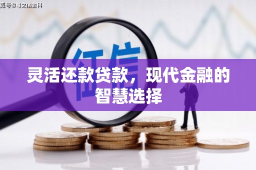 沙坪坝灵活还款贷款，现代金融的智慧选择