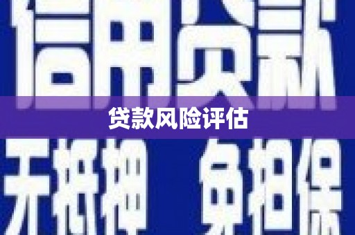 沙坪坝贷款风险评估