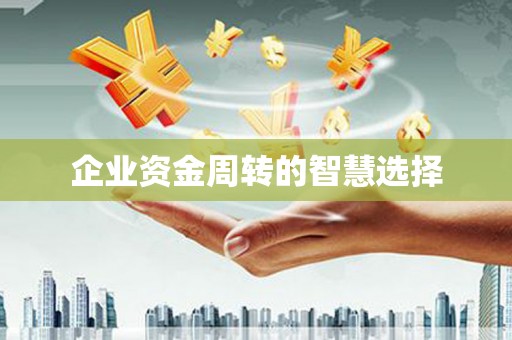 沙坪坝企业资金周转的智慧选择