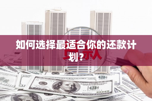 沙坪坝如何选择最适合你的还款计划？