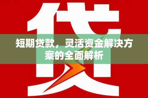 沙坪坝短期贷款，灵活资金解决方案的全面解析