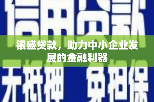 沙坪坝银盛贷款，助力中小企业发展的金融利器