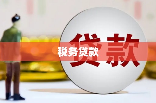 沙坪坝税务贷款