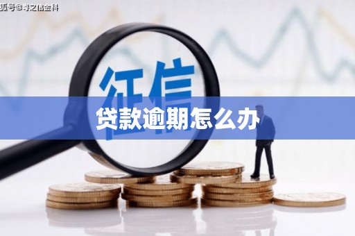 沙坪坝贷款逾期怎么办