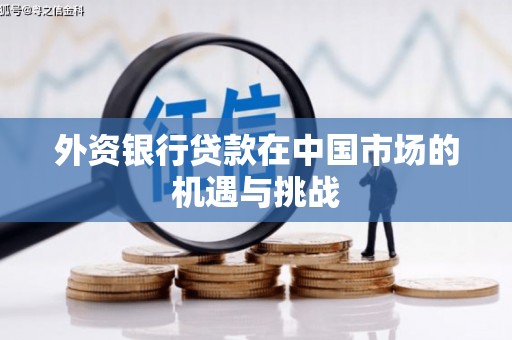 沙坪坝外资银行贷款在中国市场的机遇与挑战