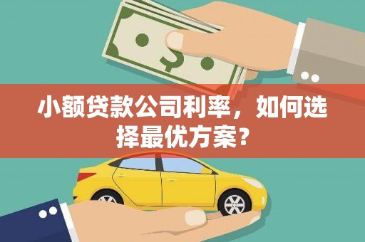 沙坪坝小额贷款公司利率，如何选择最优方案？