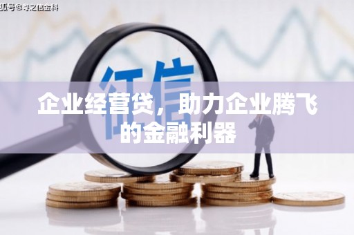 沙坪坝企业经营贷，助力企业腾飞的金融利器