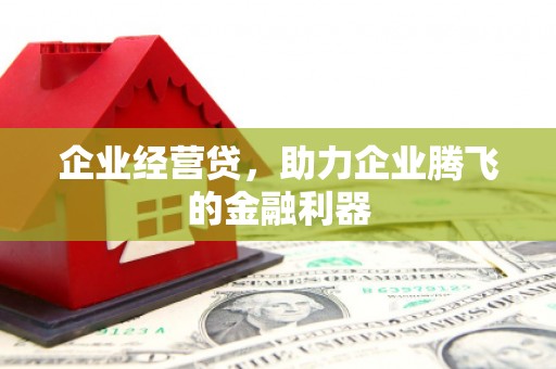沙坪坝企业经营贷，助力企业腾飞的金融利器