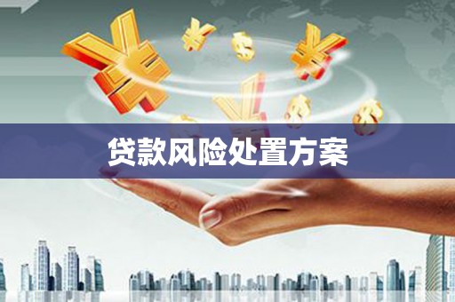 沙坪坝贷款风险处置方案
