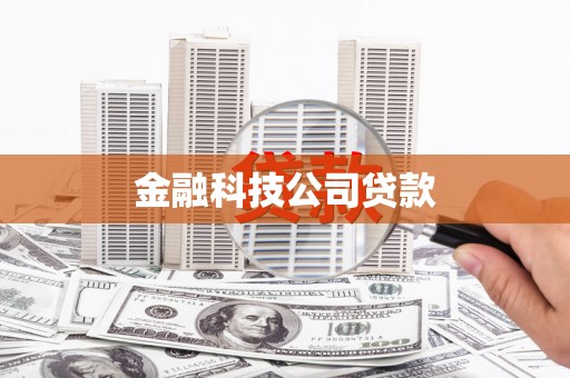 沙坪坝金融科技公司贷款