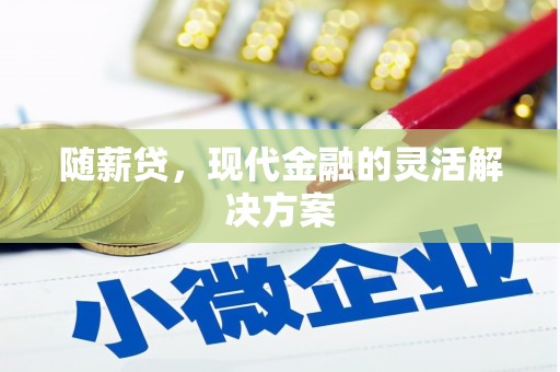 沙坪坝随薪贷，现代金融的灵活解决方案