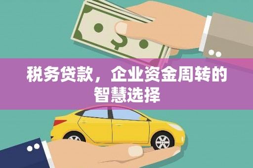 沙坪坝税务贷款，企业资金周转的智慧选择