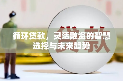 沙坪坝循环贷款，灵活融资的智慧选择与未来趋势