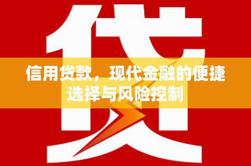 沙坪坝信用贷款，现代金融的便捷选择与风险控制
