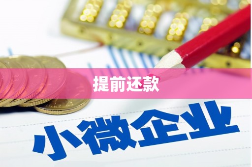沙坪坝提前还款