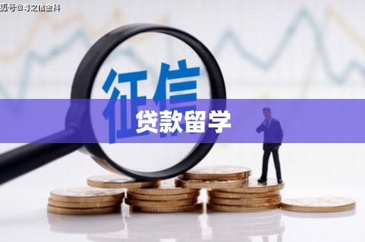沙坪坝贷款留学