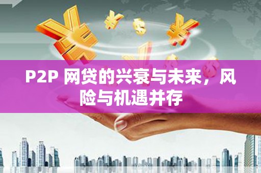 沙坪坝P2P 网贷的兴衰与未来，风险与机遇并存