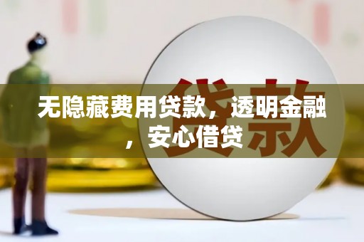 沙坪坝无隐藏费用贷款，透明金融，安心借贷