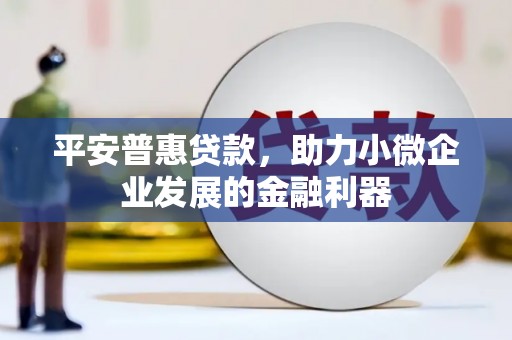 沙坪坝平安普惠贷款，助力小微企业发展的金融利器