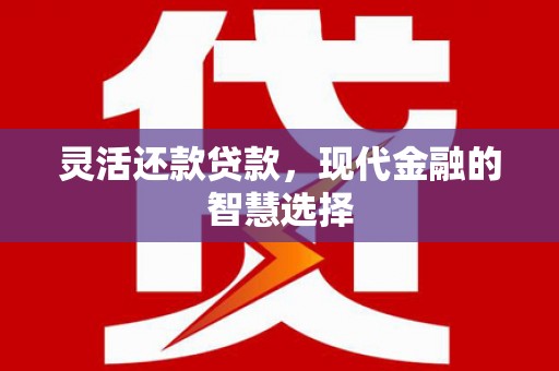 沙坪坝灵活还款贷款，现代金融的智慧选择