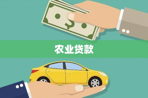 沙坪坝农业贷款