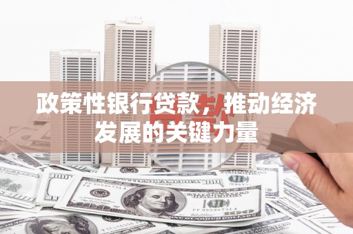 沙坪坝政策性银行贷款，推动经济发展的关键力量