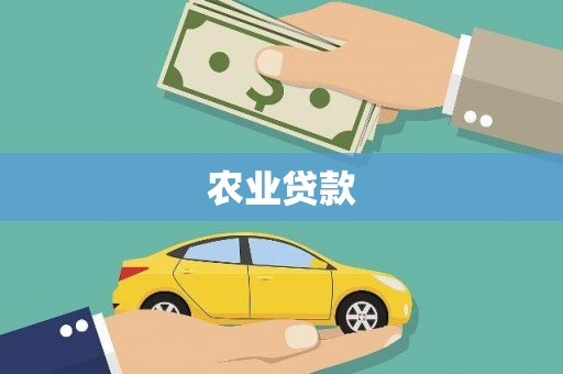 沙坪坝农业贷款