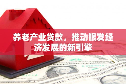 沙坪坝养老产业贷款，推动银发经济发展的新引擎