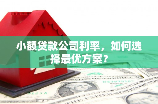 沙坪坝小额贷款公司利率，如何选择最优方案？