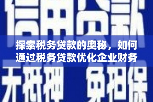 沙坪坝探索税务贷款的奥秘，如何通过税务贷款优化企业财务