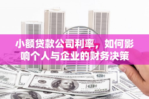 沙坪坝小额贷款公司利率，如何影响个人与企业的财务决策