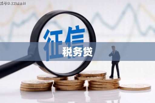 沙坪坝税务贷