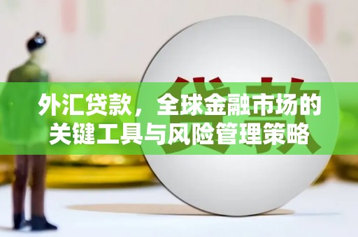 沙坪坝外汇贷款，全球金融市场的关键工具与风险管理策略