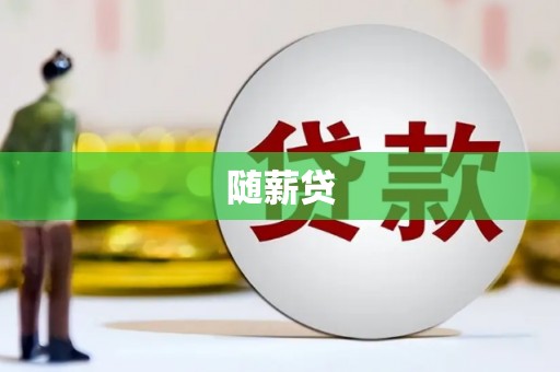 沙坪坝随薪贷