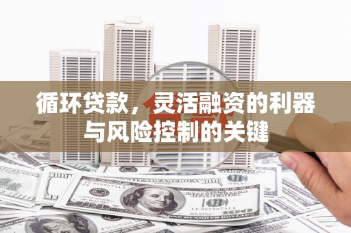沙坪坝循环贷款，灵活融资的利器与风险控制的关键