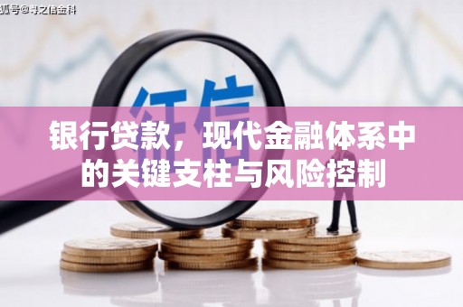 沙坪坝银行贷款，现代金融体系中的关键支柱与风险控制