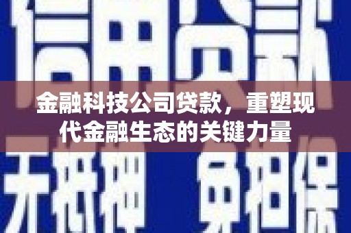 沙坪坝金融科技公司贷款，重塑现代金融生态的关键力量