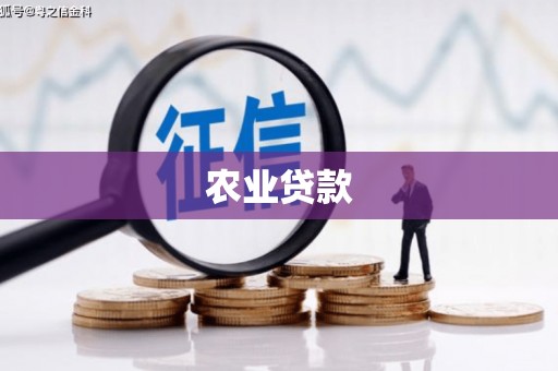 沙坪坝农业贷款
