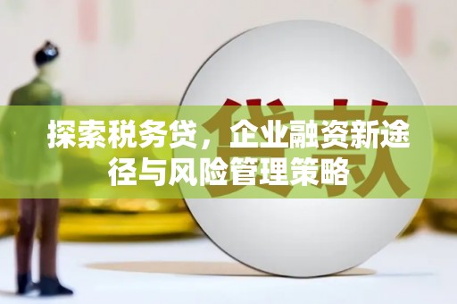 沙坪坝探索税务贷，企业融资新途径与风险管理策略