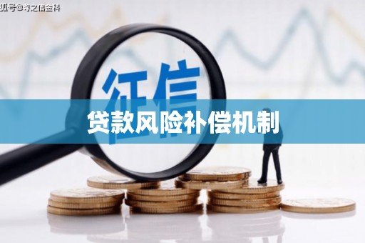 沙坪坝贷款风险补偿机制