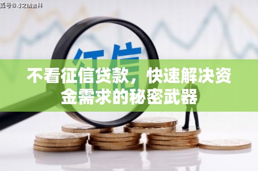 沙坪坝不看征信贷款，快速解决资金需求的秘密武器