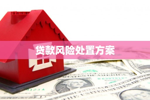 沙坪坝贷款风险处置方案