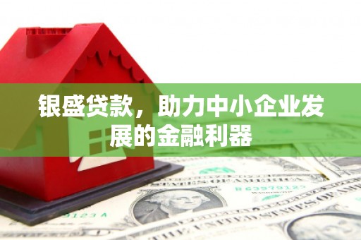 沙坪坝银盛贷款，助力中小企业发展的金融利器