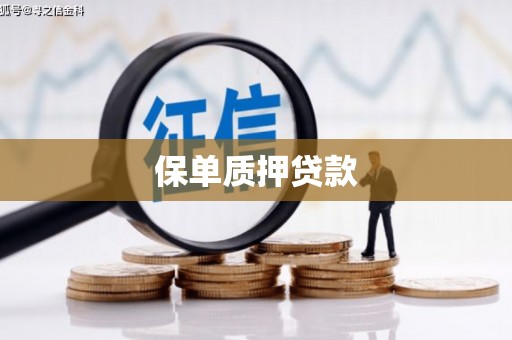 沙坪坝保单质押贷款