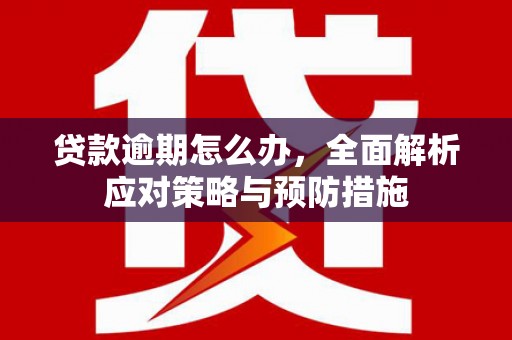 沙坪坝贷款逾期怎么办，全面解析应对策略与预防措施