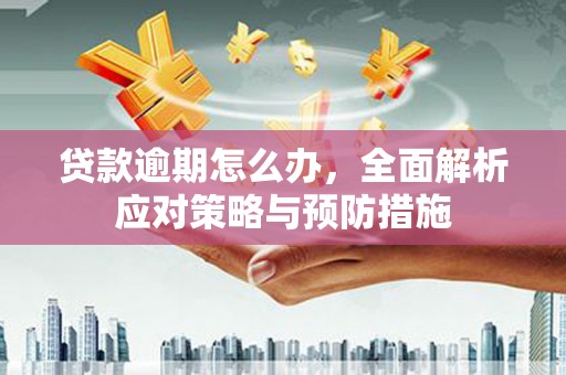 沙坪坝贷款逾期怎么办，全面解析应对策略与预防措施