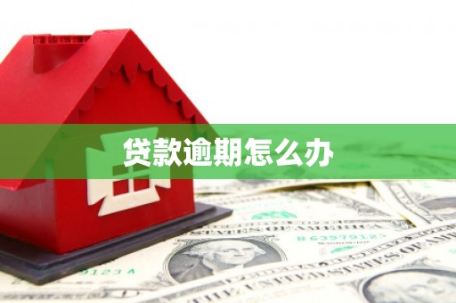 沙坪坝贷款逾期怎么办