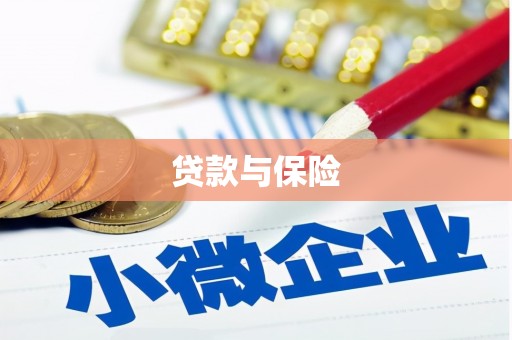 沙坪坝贷款与保险